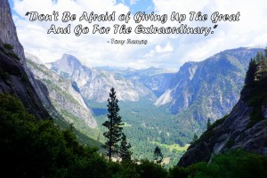 Yosemite National Park - 06-12-2015 - (93) - Copy