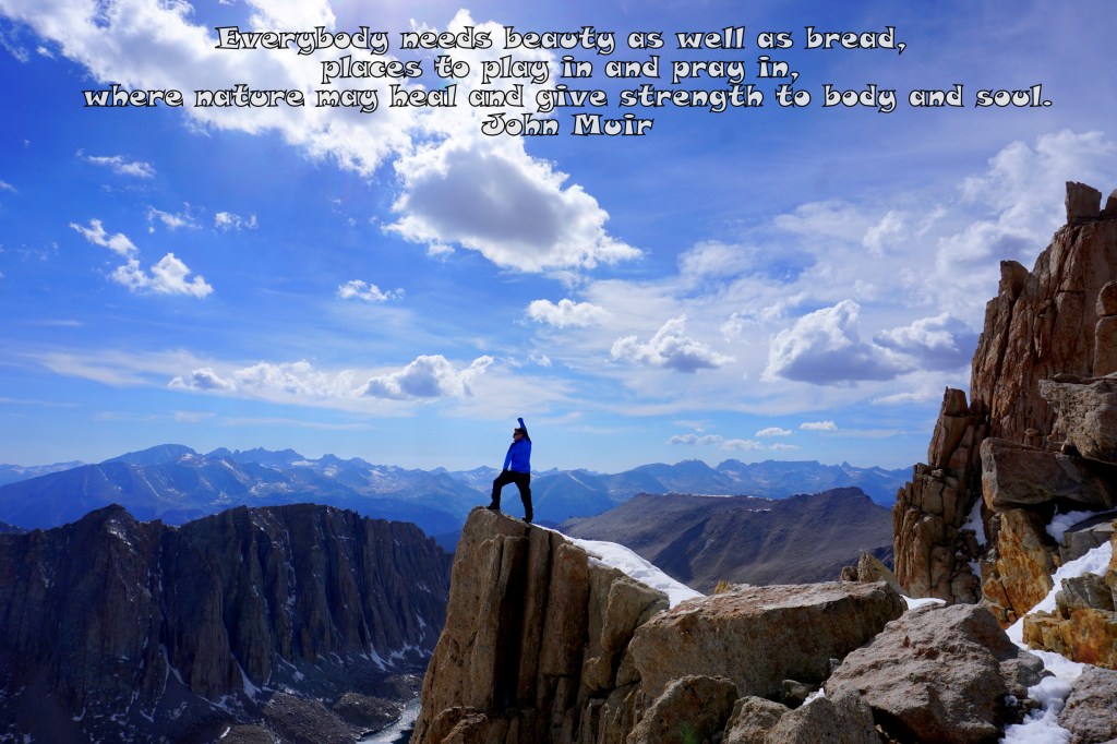 Everybody Needs Beauty